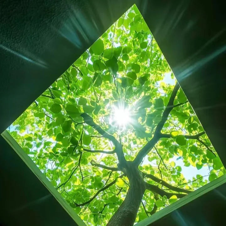 Fengshui Cleansing Music - High Vibration!