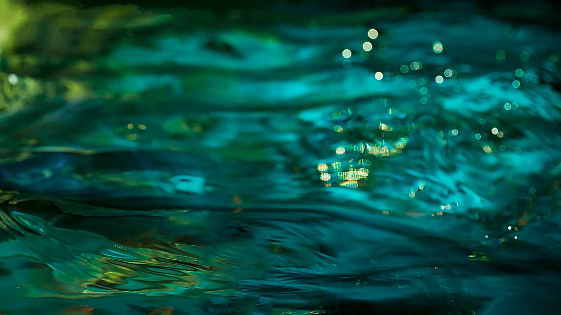 slider image 1621243260e1af0c20-1